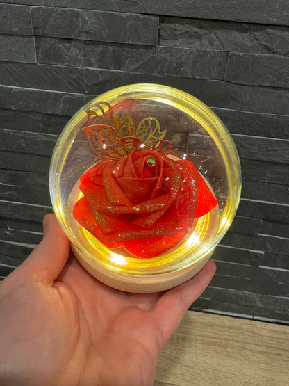 Rose éternelle
